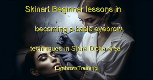 Skinart Beginner lessons in becoming a basic eyebrow techniques in Stora Dicka area | EyebrowTraining | EyebrowClasses | SkinartTraining-Sweden
