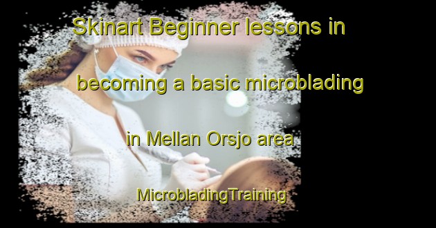 Skinart Beginner lessons in becoming a basic microblading in Mellan Orsjo area | MicrobladingTraining | MicrobladingClasses | SkinartTraining-Sweden