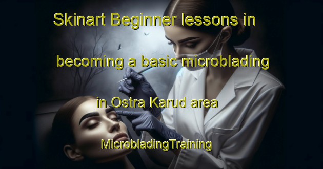 Skinart Beginner lessons in becoming a basic microblading in Ostra Karud area | MicrobladingTraining | MicrobladingClasses | SkinartTraining-Sweden