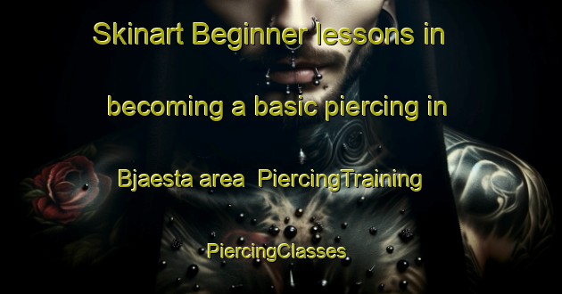 Skinart Beginner lessons in becoming a basic piercing in Bjaesta area | PiercingTraining | PiercingClasses | SkinartTraining-Sweden