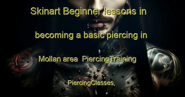 Skinart Beginner lessons in becoming a basic piercing in Mollan area | PiercingTraining | PiercingClasses | SkinartTraining-Sweden