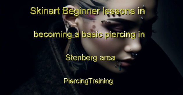 Skinart Beginner lessons in becoming a basic piercing in Stenberg area | PiercingTraining | PiercingClasses | SkinartTraining-Sweden
