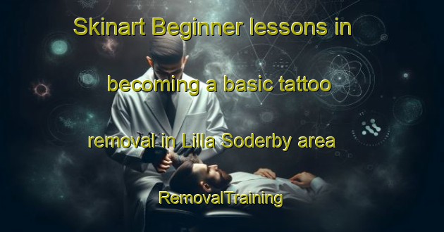 Skinart Beginner lessons in becoming a basic tattoo removal in Lilla Soderby area | RemovalTraining | RemovalClasses | SkinartTraining-Sweden