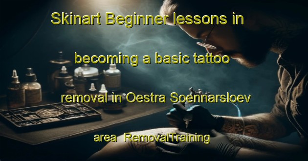 Skinart Beginner lessons in becoming a basic tattoo removal in Oestra Soennarsloev area | RemovalTraining | RemovalClasses | SkinartTraining-Sweden