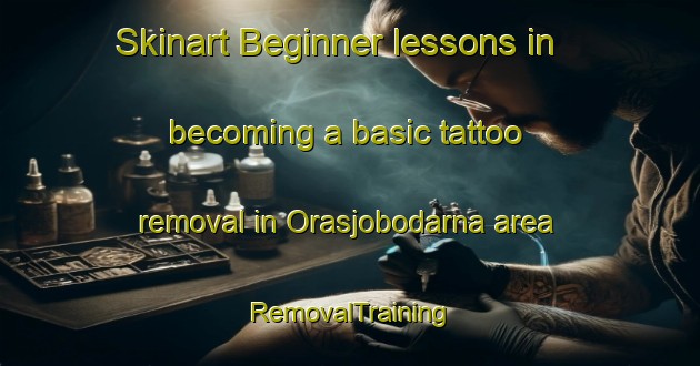 Skinart Beginner lessons in becoming a basic tattoo removal in Orasjobodarna area | RemovalTraining | RemovalClasses | SkinartTraining-Sweden