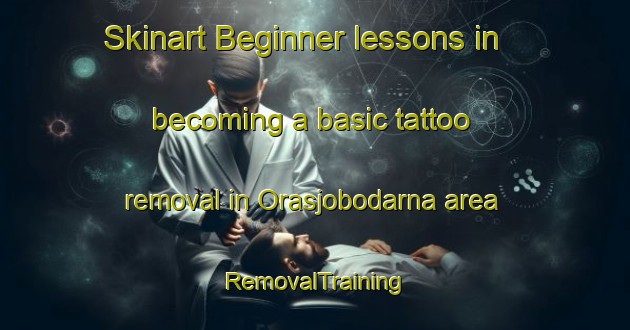 Skinart Beginner lessons in becoming a basic tattoo removal in Orasjobodarna area | RemovalTraining | RemovalClasses | SkinartTraining-Sweden