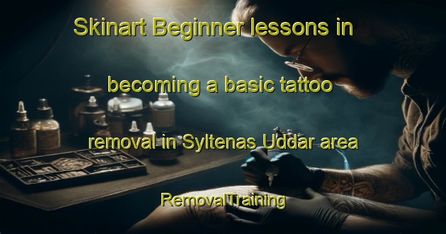 Skinart Beginner lessons in becoming a basic tattoo removal in Syltenas Uddar area | RemovalTraining | RemovalClasses | SkinartTraining-Sweden
