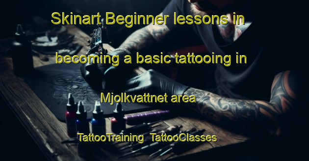 Skinart Beginner lessons in becoming a basic tattooing in Mjolkvattnet area | TattooTraining | TattooClasses | SkinartTraining-Sweden