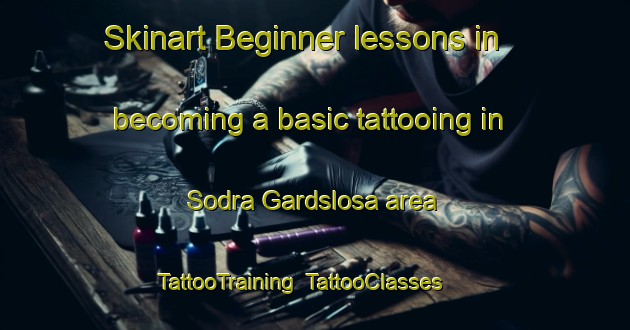 Skinart Beginner lessons in becoming a basic tattooing in Sodra Gardslosa area | TattooTraining | TattooClasses | SkinartTraining-Sweden