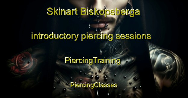 Skinart Biskopsberga introductory piercing sessions | #PiercingTraining #PiercingClasses #SkinartTraining-Sweden