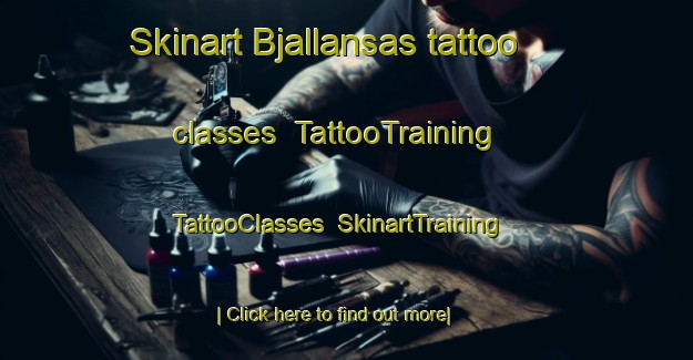 Skinart Bjallansas tattoo classes | TattooTraining | TattooClasses | SkinartTraining-Sweden