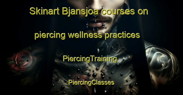 Skinart Bjansjoa courses on piercing wellness practices | #PiercingTraining #PiercingClasses #SkinartTraining-Sweden