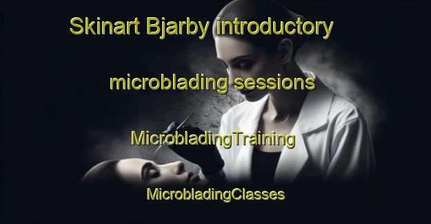 Skinart Bjarby introductory microblading sessions | #MicrobladingTraining #MicrobladingClasses #SkinartTraining-Sweden