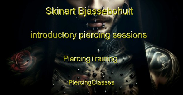 Skinart Bjassebohult introductory piercing sessions | #PiercingTraining #PiercingClasses #SkinartTraining-Sweden