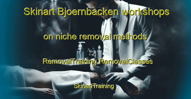 Skinart Bjoernbacken workshops on niche removal methods | #RemovalTraining #RemovalClasses #SkinartTraining-Sweden