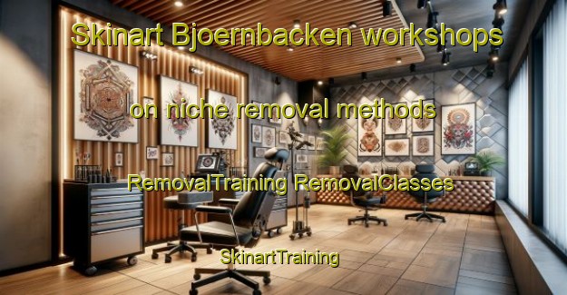 Skinart Bjoernbacken workshops on niche removal methods | #RemovalTraining #RemovalClasses #SkinartTraining-Sweden