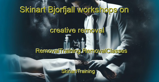 Skinart Bjorfjall workshops on creative removal | #RemovalTraining #RemovalClasses #SkinartTraining-Sweden