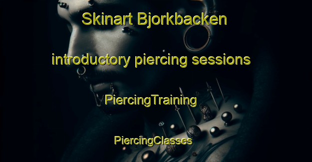 Skinart Bjorkbacken introductory piercing sessions | PiercingTraining | PiercingClasses | SkinartTraining-Sweden