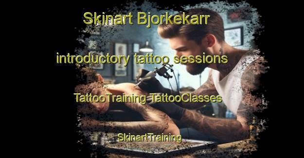 Skinart Bjorkekarr introductory tattoo sessions | #TattooTraining #TattooClasses #SkinartTraining-Sweden