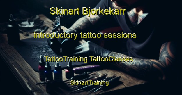 Skinart Bjorkekarr introductory tattoo sessions | #TattooTraining #TattooClasses #SkinartTraining-Sweden