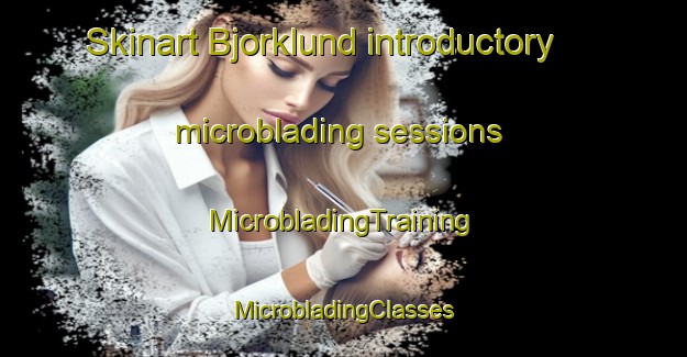 Skinart Bjorklund introductory microblading sessions | #MicrobladingTraining #MicrobladingClasses #SkinartTraining-Sweden