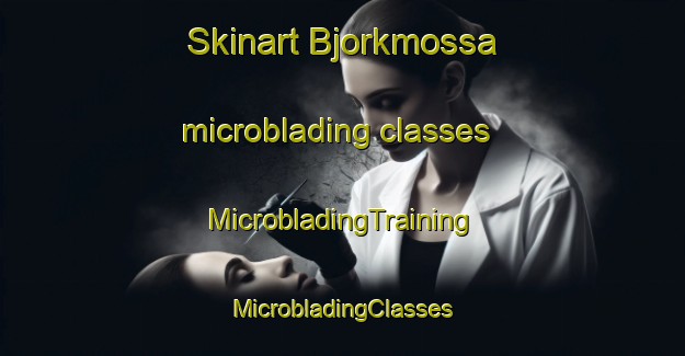 Skinart Bjorkmossa microblading classes | #MicrobladingTraining #MicrobladingClasses #SkinartTraining-Sweden