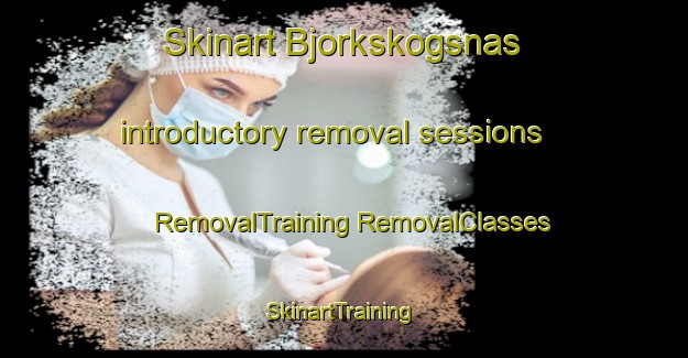 Skinart Bjorkskogsnas introductory removal sessions | #RemovalTraining #RemovalClasses #SkinartTraining-Sweden