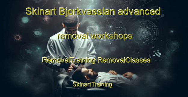 Skinart Bjorkvasslan advanced removal workshops | #RemovalTraining #RemovalClasses #SkinartTraining-Sweden