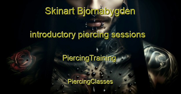 Skinart Bjornabygden introductory piercing sessions | #PiercingTraining #PiercingClasses #SkinartTraining-Sweden