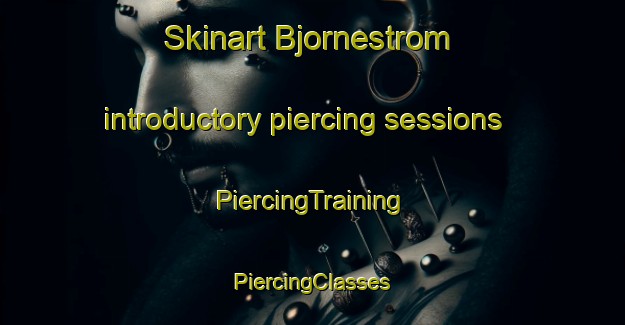 Skinart Bjornestrom introductory piercing sessions | #PiercingTraining #PiercingClasses #SkinartTraining-Sweden