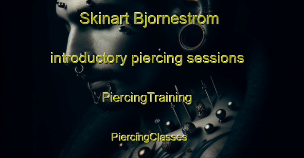 Skinart Bjornestrom introductory piercing sessions | PiercingTraining | PiercingClasses | SkinartTraining-Sweden