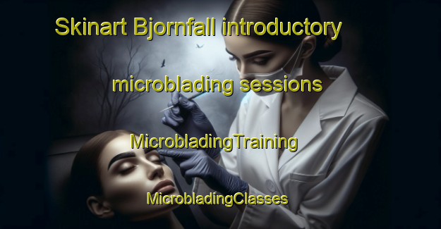 Skinart Bjornfall introductory microblading sessions | MicrobladingTraining | MicrobladingClasses | SkinartTraining-Sweden