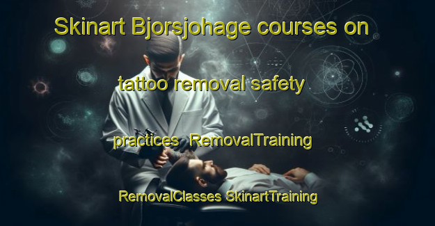 Skinart Bjorsjohage courses on tattoo removal safety practices | #RemovalTraining #RemovalClasses #SkinartTraining-Sweden