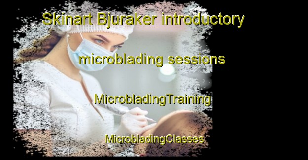 Skinart Bjuraker introductory microblading sessions | #MicrobladingTraining #MicrobladingClasses #SkinartTraining-Sweden