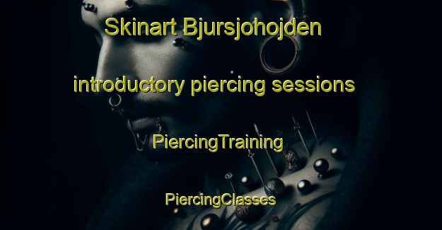 Skinart Bjursjohojden introductory piercing sessions | #PiercingTraining #PiercingClasses #SkinartTraining-Sweden