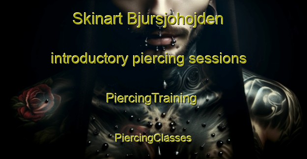 Skinart Bjursjohojden introductory piercing sessions | #PiercingTraining #PiercingClasses #SkinartTraining-Sweden