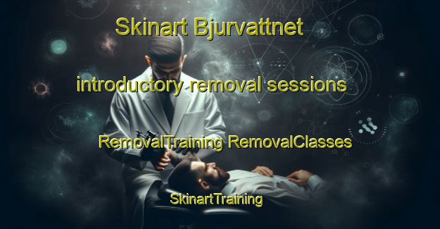 Skinart Bjurvattnet introductory removal sessions | #RemovalTraining #RemovalClasses #SkinartTraining-Sweden