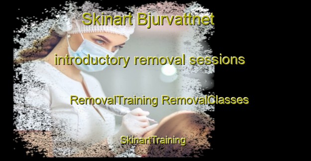 Skinart Bjurvattnet introductory removal sessions | #RemovalTraining #RemovalClasses #SkinartTraining-Sweden