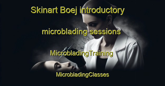 Skinart Boej introductory microblading sessions | #MicrobladingTraining #MicrobladingClasses #SkinartTraining-Sweden