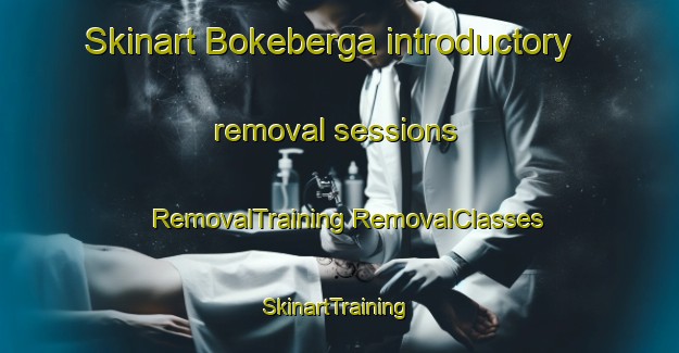 Skinart Bokeberga introductory removal sessions | #RemovalTraining #RemovalClasses #SkinartTraining-Sweden