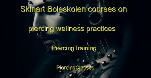 Skinart Boleskolen courses on piercing wellness practices | #PiercingTraining #PiercingClasses #SkinartTraining-Sweden