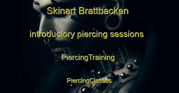 Skinart Brattbacken introductory piercing sessions | #PiercingTraining #PiercingClasses #SkinartTraining-Sweden