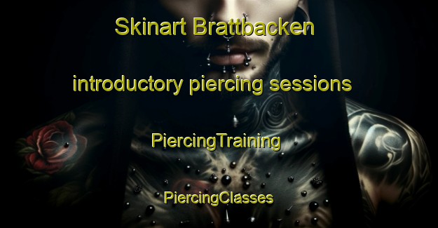 Skinart Brattbacken introductory piercing sessions | #PiercingTraining #PiercingClasses #SkinartTraining-Sweden