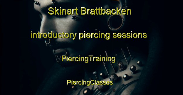 Skinart Brattbacken introductory piercing sessions | PiercingTraining | PiercingClasses | SkinartTraining-Sweden