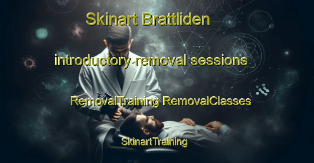 Skinart Brattliden introductory removal sessions | #RemovalTraining #RemovalClasses #SkinartTraining-Sweden