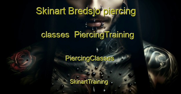 Skinart Bredsjo piercing classes | #PiercingTraining #PiercingClasses #SkinartTraining-Sweden