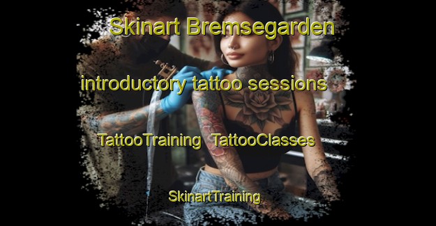 Skinart Bremsegarden introductory tattoo sessions | TattooTraining | TattooClasses | SkinartTraining-Sweden