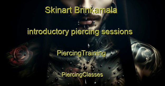 Skinart Brinkamala introductory piercing sessions | #PiercingTraining #PiercingClasses #SkinartTraining-Sweden