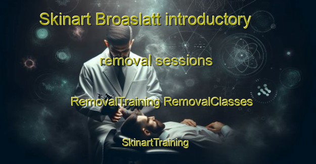 Skinart Broaslatt introductory removal sessions | #RemovalTraining #RemovalClasses #SkinartTraining-Sweden