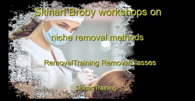 Skinart Broby workshops on niche removal methods | #RemovalTraining #RemovalClasses #SkinartTraining-Sweden